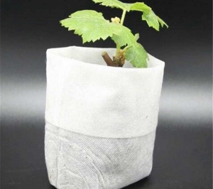 Mẫu túi vải trồng cây - Vải Không Dệt Uy Vũ - Công Ty TNHH Sản Xuất Vải Không Dệt Uy Vũ